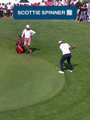 Defending champ Scottie Scheffler knows his way around at THE CJ Cup Byron Nelson 👏 #golf #PGATOUR #highlight 