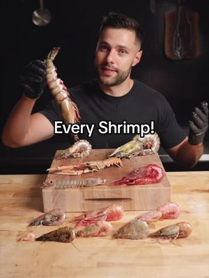 Cooking Every EXOTIC Shrimp! #shrimp 