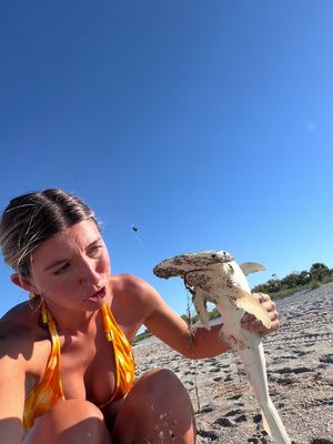 Not the baby shark ): 