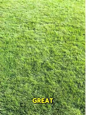 Seeing stalks? Your lawn is just hungry! Refuel while our spring sale is live.