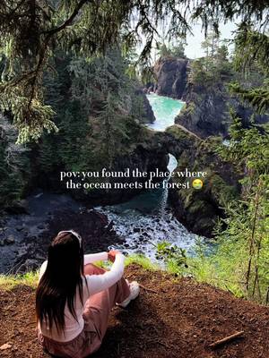 Welcome to the Oregon Coast 🌊🌲 #oregoncoast 