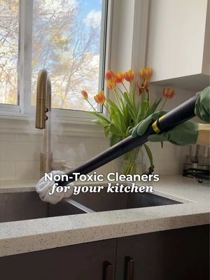 The only cleaners I use in my home with kids & pets 🧽👶🏻🐕 Find all my favourite non-toxic products linked in my SHOPMY page under HOME ✨ When it comes to cleaning my home I only use natural cleaners without artificial fragrances. They work just as great, are usually budget friendly (baking soda, vinegar, lemon and salt) and safer for your family. Especially if you have kids and pets that are all over the furniture and floors you want to know that the products you are spraying all over the place are safe enough to ingest. @Branch Basics  @Dupray  @Jaspr 