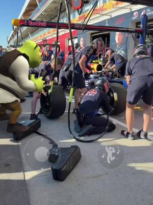 Shrek checking out pitstop practice 😮‍💨 #f1 #filter #shrek 