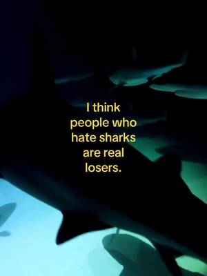 The biggest losers out there 👎 - #sharks #nature #oceans #whitetipshark #aquarium 