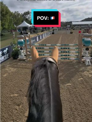 très bien pour le premier concour de Noel aux Ètas-Unis!!  il est chouette! 🖤💛 He is SO fun to ride. What a cool guy. I turned a little too early for the 8 stride in the second line & made it a little short, oops! Everywhere else we were clicking & I gave him the proper stage to shine like the stud he is!! 😊 It’s important to tell your horse how great they are all the time :) They can feel the good energy you pour into them, no matter what the language.  #equestrian #horseshow #horsegirl #povride #showjumping 