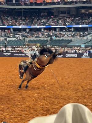 Sage Newman and True Grit light up Globe Life Field 🔥 The pair capitalized on a reride for an 87.75-point ride to finish on top of the Semifinals, securing Newman’s spot on Championship Saturday. #TheAmericanRodeo | @alppouches 