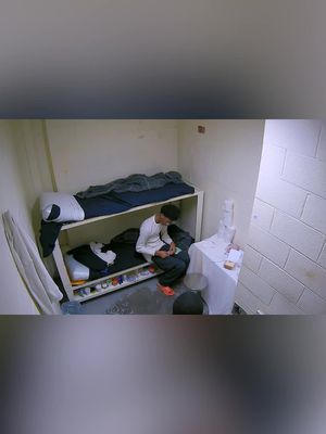 The vibe? Suspicious. The air? Guilty. 😳 #60DaysIn