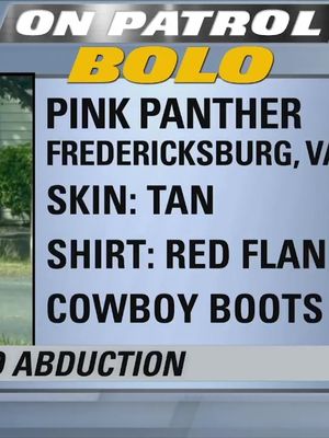 🚨Authorities in Fredericksburg, Virginia are searching for a suspect accused of chasing children after exiting a school bus while dressed in a pink panther-style costume. If you have any information please call the Fredericksburg Police Department at 1-540-373-3122 🙏🏻 On Patrol: Live is airing on #REELZ and #REELZPlus now! Start your 7-day free trial on http://reelzplus.com/reelz/home