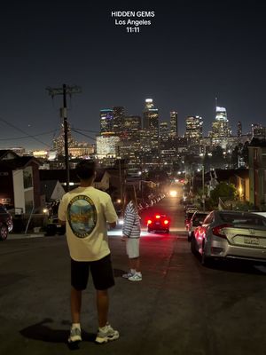 POV: we randomly found this street in Los Angeles and somehow it looks even more beautiful at night 🌴✨#losangeles #viral #california  #adventure 