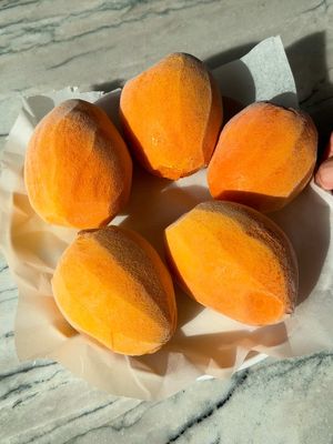 Formally announcing Mangos are my favorite fruit. #shavedice #mango #Recipe #frozentreats