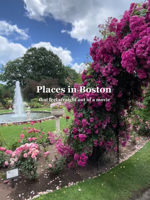 Places in Boston to check out - Details Below ⬇️ #cornersofboston  Bbs … Boston has so many cozy corners that give main character energy and this spot is a must visit in late June and early July for their rose archway blooms.  📍James P. Kelleher Rose Garden 73 Park Dr, Boston, MA 02215 What are your favorite corners that feel straight out of a movie?  Cheers bbs #Boston #fypシ #newengland #travel   