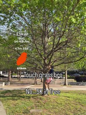 I’m running a 5K in a tree