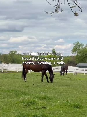 Overpeck Park is the nicest spot to have close by! 🏞️🌳 It’s 850 acres across a few towns in Bergen county, so you can wander from walking paths to open fields to the water, with kayaking, picnics, sports fields, and sometimes even live music.🌳 Head over thebergencountygirl.com to read more! ☀️ #newjersey #bergencounty #overpeckpark #bergencountynj #nj 