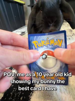 bunny did NOT care about my Pokemon card 😔 #pokemon #pokemontcg #meme 