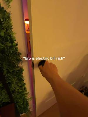 nah…it’s not that expensive 😭 #dopaminedecor #rgblights #GamingSetup #apartmentideas #adhd 
