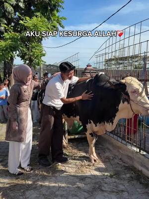 alhamdulillah ireng baik gak nakal pada saat dimuliakan, sampai jumpa di surga ya reng🥹#syifdam #fyp #hiburan 