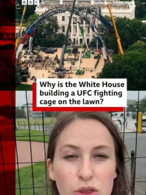 The White House has begun construction on a UFC fighting cage on its South Lawn ahead of next month's event to celebrate 250 years of American independence. #WhiteHouse #UFC #America250 #DonaldTrump #DanaWhite #USNews #BBCNews