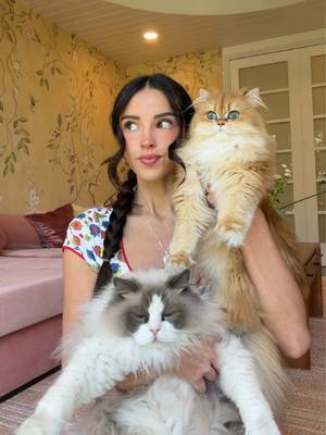 #CloroxPartner turns out it wasn’t my cats it was everything else, so I fixed it @Clorox PURE Allergen Neutralizer Fabric & Carpet Spray is available online and in stores nationwide in the air care aisle! For the full list of allergens Clorox PURE can help against, visit my link in bio!