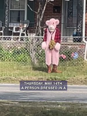 Fredericksburg, VA, police are searching for someone in a "Pink Panther" costume who was allegedly following children on May 14,  2026, and the case went viral after being captured on video. We're taking a look at the video and breaking down what's known in this week's Crime Weekly News. #fypシ #fypシ゚viral #truecrimetok #truecrimestory #truecrime #truecrimeanytime #crime #crimetok #news #pinkpanther