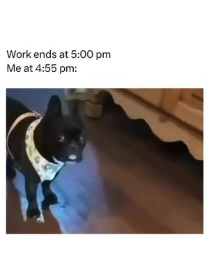 😂Is this also you when it’s almost time to knock off?  #Memezar #memes #comedy #memestiktok #memesdaily  