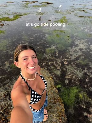 California tide pools >>