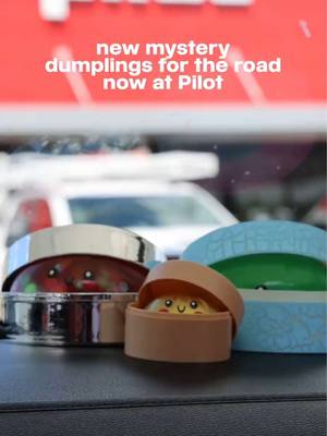 road trip support buddy  #mysterydumpling #dumplings #roadtrip #squishy #dumplingsquishy 