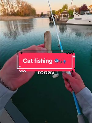 I Fished with Expired Sausage 🐟🎣 #fishing 
