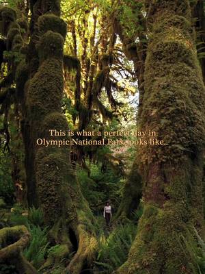 This is what a day in Olympic National Park looks like… 🌲 Slow morning in the woods, a hike to one of my favorite waterfalls, and ending the day with a breathtaking sunset at the coast. It feels so remote out here, but I'm still connected thanks to @T-Mobile.   This is why I love getting outside, it's where I feel most like myself. And I love that T-Mobile partners with the @The National Park Foundation  to help protect and preserve the parks, so we can explore more freely and connect with nature, whether alone or with our loved ones, for years to come. #TMobilePartner 