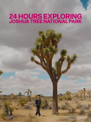 Took a trip to Joshua Tree National Park to recharge and spend more time outdoors🌵 @T-Mobile is partnering with the @The National Park Foundation to preserve and protect the parks so we can all continue to experience places like this. And with @TMobile and T-Satellite with Starlink I know I have reliable connectivity which gives me the freedom to explore / get out there. Learn more at the link in my bio! #TMobilePartner #joshuatree 