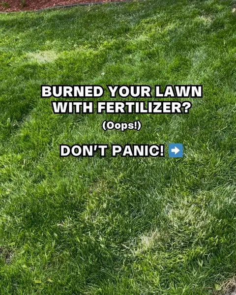 Accidentally burned your lawn? 😬 Save this rescue plan!