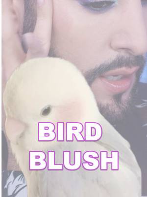 Trying to find the perfect blush to match this cute little birds cheeks! I knew one of my favourite brands Red Chanber would have something similar to the shade of blush I was looking for! They do so many amazing cold tones and neutrals. I get all my Red Chamber products from @YesStyle 🖤🖤 #blush #creamblush #makeup #cbeauty 