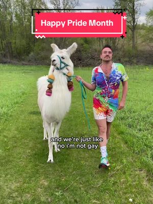Happy Pride Month from the Alpacas, Goats, and this proud queer farmhand at @Prairie Patch Farm in Cedar Rapids IOWA! #alpacasoftiktok #pridemonth #Pride