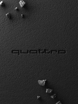 Stones shift. Gravel loosens. quattro all-wheel drive holds. #Audi #AudiCanada #quattro #VorsprungDurchTechnik
