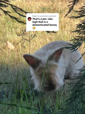 Replying to @Lana Kane Harry update 