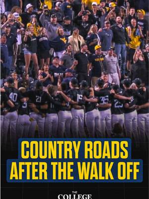 Vibes are immaculate in Morgantown after beating Kentucky 🔥 #westvirginia #wvu #ncaabaseball #baseball #collegebaseball 