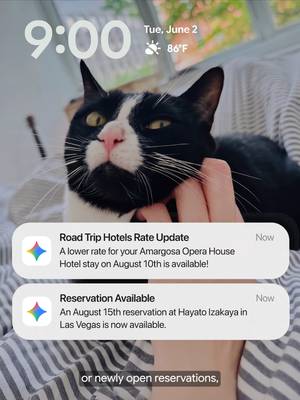 Gemini Spark is so much more than a passenger princess. 🚗👸 It can help research an itinerary for you, track hotel rates, and basically serve as your 24/7 personal AI travel agent. Gemini Spark is now available in Beta for Google AI Ultra subscribers, starting in the U.S.
