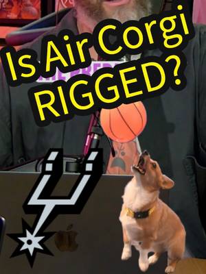 What's REALLY going on with that corgi’s Finals prediction?