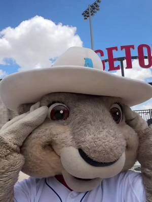 BASEBALL IS BACK AT HODGETOWN 🗣️🗣️🗣️ #amarillo #baseball #ruckus #MLB #mascot 
