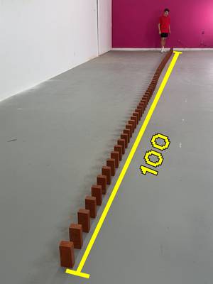 100 Brick Dominos 🧱 ​⁠