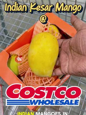 For the first time ever, I found Indian Kesar mangoes at Costco 🥭👑 A few Seattle-area and Eastside Costcos recently brought Indian mangoes, known as the king of all fruits, and they’re selling out FAST. I got lucky and grabbed a few boxes from the Lynnwood Costco. I also picked up the organic Mexican Tommy mangoes. Now it’s time to wait a few days for both to fully ripen and sweeten up before the comparison begins 👀 We probably already know the winner… but wait for Part 2 😭 #costcomango #IndianMango #desifoodie #CostcoFinds #indianfoodie