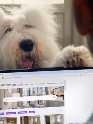 Meet James. As well as Emma, Liza, Bingo and Anton. His two dogs, one rabbit and one bearded iguana. And they’re looking for a place that can fit them all. Now that’s a job for Gemini in Chrome.