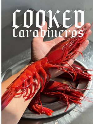 How to cook carabineros ? 🦐 Possibly the ultimate snack. I had carabineros in many different ways, raw, in rice, BBQ grilled.. but this one is to me the best. Good thing, it’s super easy to prepare. Salt & the carabineros.  Had this in @cervejariaramirooficial, and it blew my mind 🫠 Track ID : Tom Zé - Lá vem a onda #shrimp #carabineros #snack #portugal #seafood