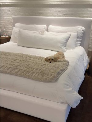 Sunday reset @Dyson USA #DysonPartner #DysonHome 🧺🧼