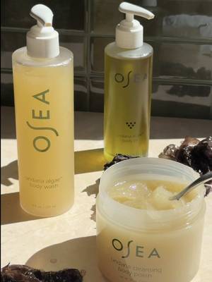 OSEA was built on seaweed for a reason 🌊 Before founding OSEA, Jenefer Palmer (aka Chief Seaweed Officer) knew she wanted to channel the healing power of the ocean into body care rooted in health, and wellness. Inspired by generations of women connected to the sea, the brand was built around ocean powered ingredients that truly support the skin. The Undaria Collection features sustainably harvested seaweed naturally rich in vitamins, minerals, antioxidants, and amino acids to help leave skin soft, and hydrated. ✨ The ocean doesn’t just inspire the glow… it powers it. #OSEAMalibu #SeaweedSkincare #BodyCareRoutine #GlowySkin #glowingskinroutine 