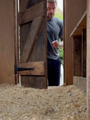 Checkin My Chickens 🐓
