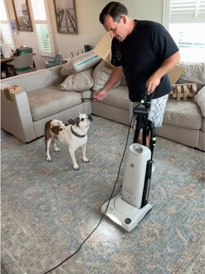 Buying our forever vacuum cleaner from a small family business #vacuuming#CleanTok#cleaning