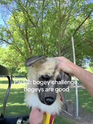 Bogey challenge part 2 #bogeyboys #bogeytowin