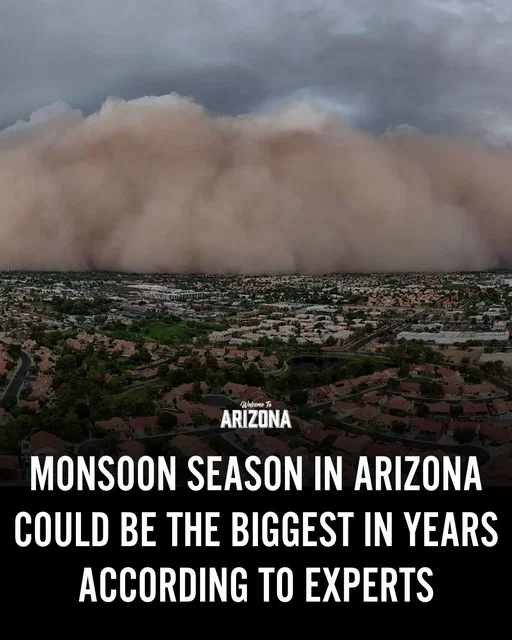 Forecasters say Arizona could see a more active monsoon season this summer, bringing increased chances for rain, thunderstorms, dust storms, and flash flooding across parts of the state. 🌵 📸: Patrick Breen/The Republic #Arizona #ArizonaMonsoon #MonsoonSeason #ArizonaWeather #WelcomeToArizona
