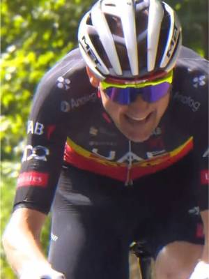 🏅 Throwback #TDF2025, Stage 15 Not many people can win a stage on the Tour de France, 🇧🇪 Tim Wellens did it! 👋 @Continental 