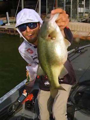 What did that bass eat? This 16-inch bass weighed 3 pounds, 6 ounces at @tackle.warehouse Pro Circuit Stop 5 Presented by @knfilterson Oklahoma’s Lake Eufaula. @rylachniet thought maybe it had eaten a 🐢 or four? Not a bad way to start the day. How do you explain that gut? @millertechlithium Lithium #fatty #fish #bassfishing #holycow #fluffy